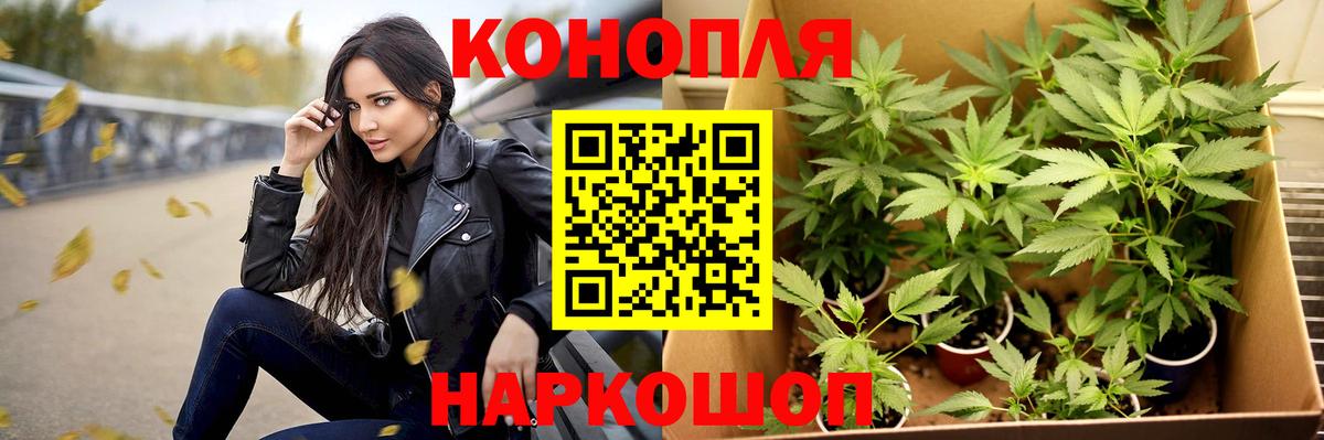 Каннабис White Widow  Конопля марихуана  Вход с VPN  Марихуана тримм  Воткинск 